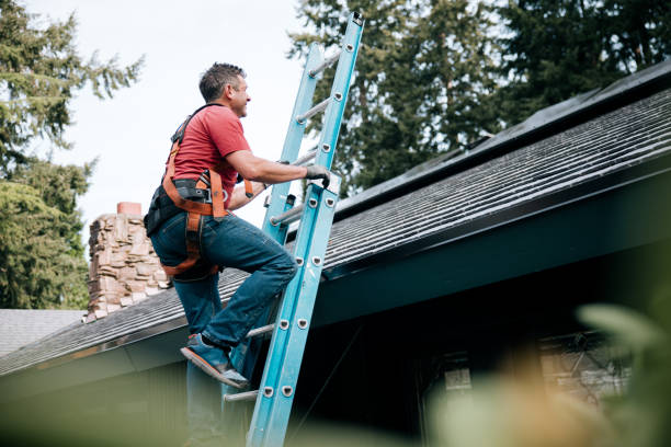 Best Gutter Installation and Repair  in Brightwaters, NY